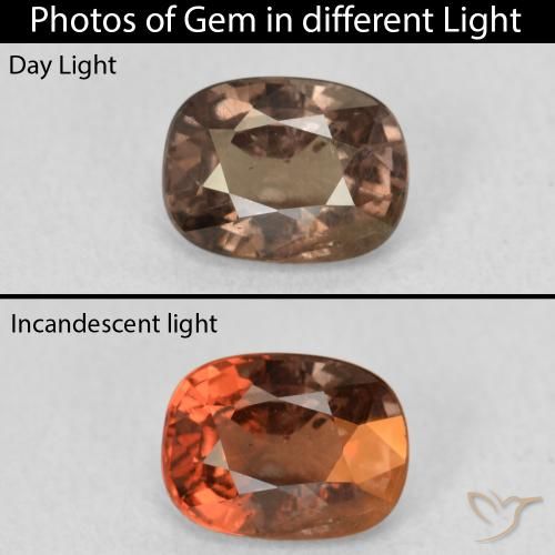 1.21ct 자연스러운 웜 브라운 색상 변경 가넷, 방석, VS