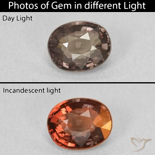1.05ct 자연스러운 미디엄 브라운 색상 변경 가넷, 타원형, VVS