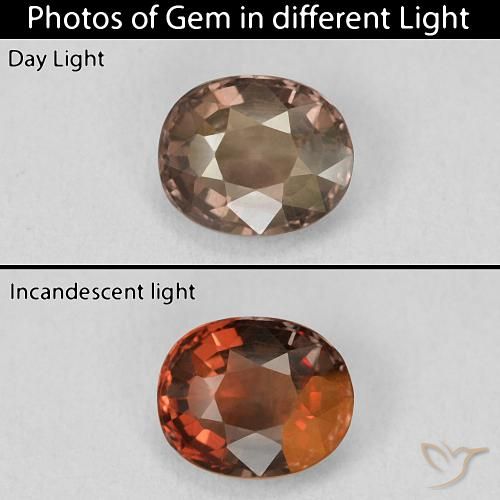 1.46ct 자연스러운 피칸 브라운 색상 변경 가넷, 방석, VVS-VS