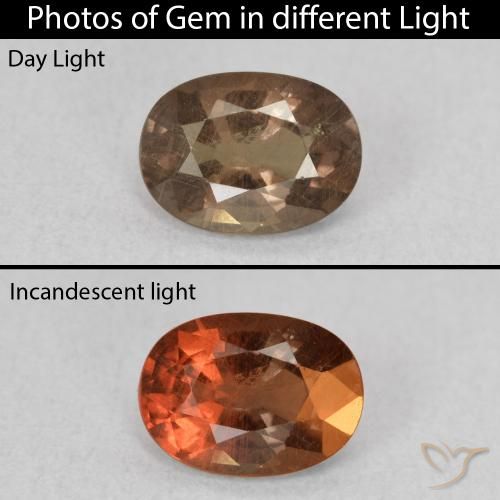 0.93ct 자연스러운 미디엄 라이트 브라운 색상 변경 가넷, 타원형, VS