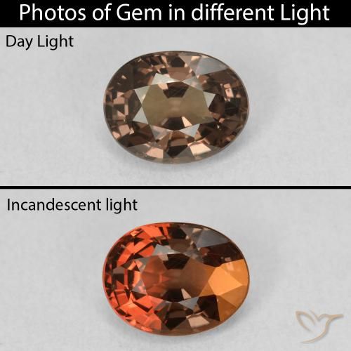 1.37ct 자연스러운 미디엄 라이트 브라운 색상 변경 가넷, 타원형, VS