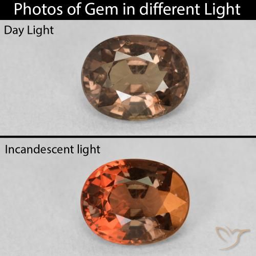 1.39ct 자연스러운 미디엄 라이트 브라운 색상 변경 가넷, 타원형, VS