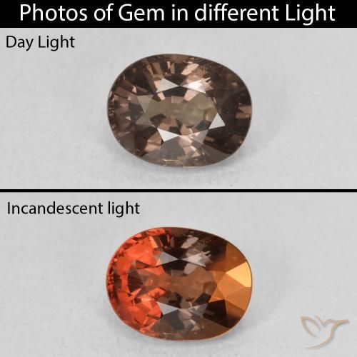 1.57ct 자연스러운 어두운 갈색 색상 변경 가넷, 타원형, VS