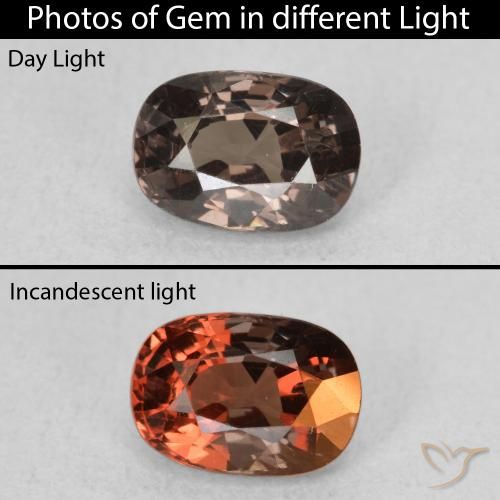 1.05ct 자연스러운 어두운 갈색 색상 변경 가넷, 방석, VS
