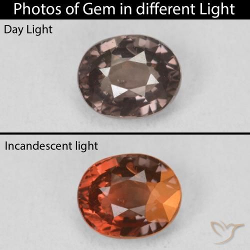 1.17ct 자연스러운 미디엄 라이트 브라운 색상 변경 가넷, 타원형, VS