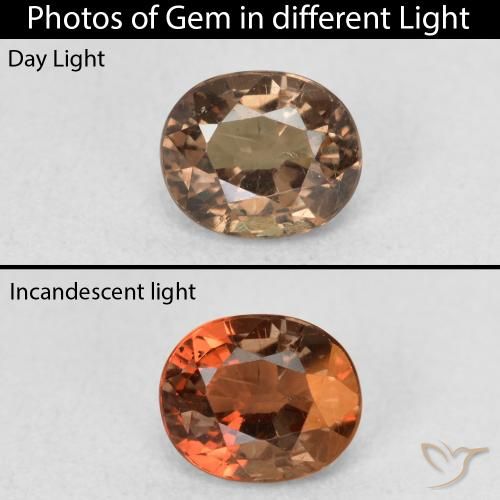 0.94ct 자연스러운 어두운 갈색 색상 변경 가넷, 타원형, VS
