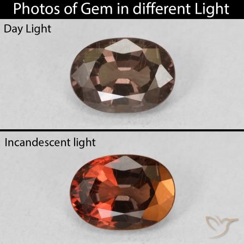 1.34ct 자연스러운 어두운 갈색 색상 변경 가넷, 타원형, VS