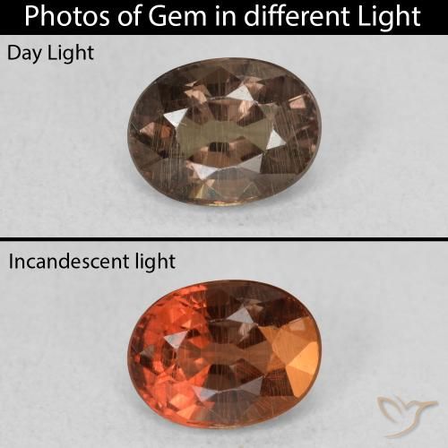 0.97ct 자연스러운 어두운 갈색 색상 변경 가넷, 타원형, VS