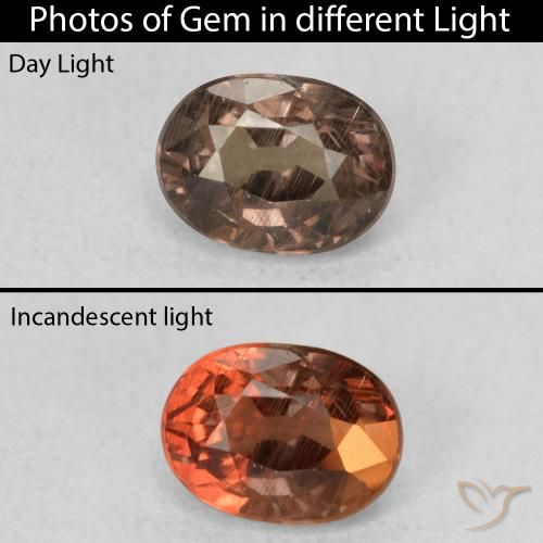 0.96ct 자연스러운 어두운 갈색 색상 변경 가넷, 타원형, VS