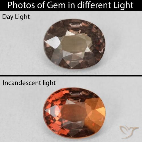 1.28ct 자연스러운 어두운 갈색 색상 변경 가넷, 타원형, VS