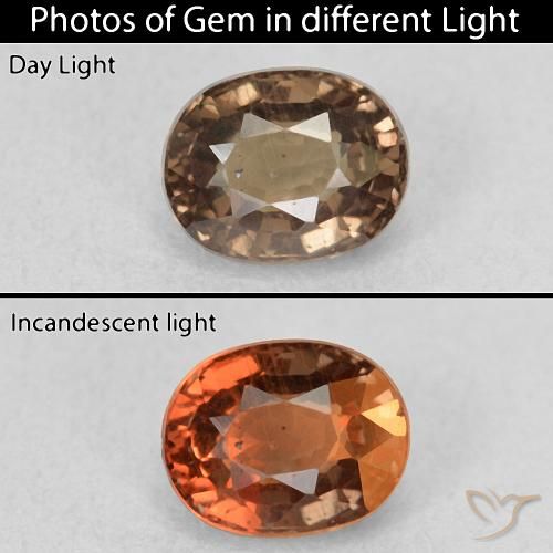 0.99ct 자연스러운 어두운 갈색 색상 변경 가넷, 타원형, VS