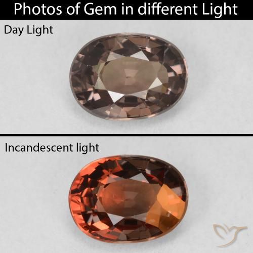 1.19ct 자연스러운 어두운 갈색 색상 변경 가넷, 타원형, VVS-VS