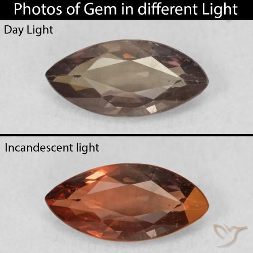 1.03ct 자연스러운 어두운 갈색 색상 변경 가넷, 보석, VVS-VS