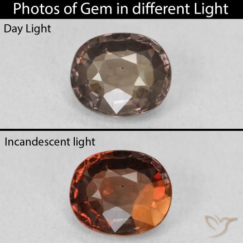 1.30ct 자연스러운 어두운 갈색 색상 변경 가넷, 타원형, VVS-VS