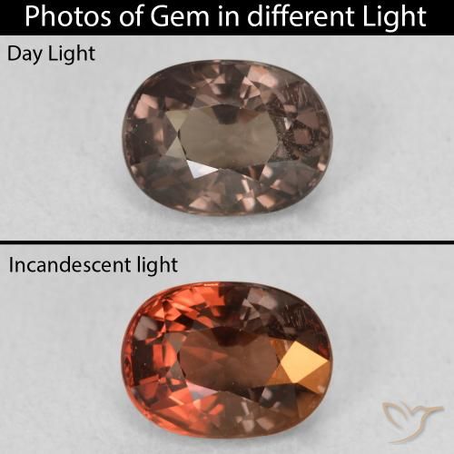 1.47ct 자연스러운 어두운 갈색 색상 변경 가넷, 타원형, VVS-VS