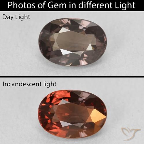1.50ct 자연스러운 어두운 갈색 색상 변경 가넷, 타원형, VVS-VS