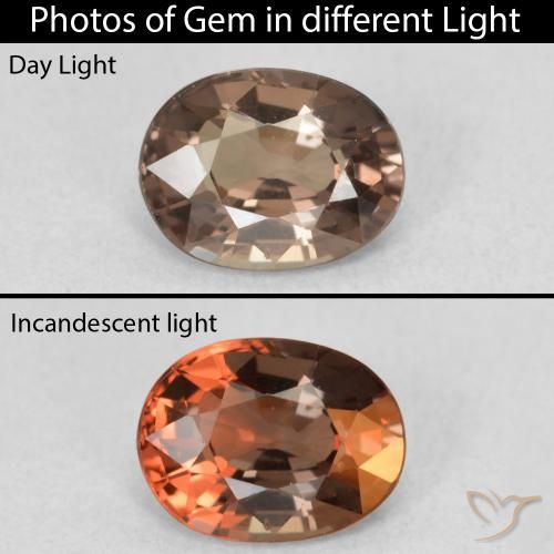 1.13ct 자연스러운 어두운 갈색 색상 변경 가넷, 타원형, VVS-VS