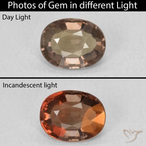 1.32ct 자연스러운 어두운 갈색 색상 변경 가넷, 타원형, VVS-VS