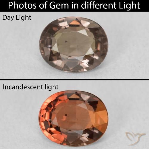 1.02ct 자연스러운 어두운 갈색 색상 변경 가넷, 타원형, VVS-VS