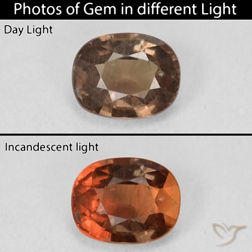 1.50ct 자연스러운 어두운 갈색 색상 변경 가넷, 방석, VS