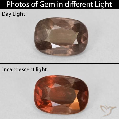 1.50ct 자연스러운 어두운 갈색 색상 변경 가넷, 방석, VS