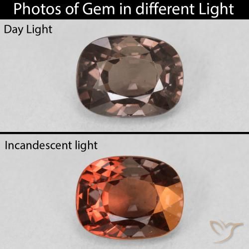 1.47ct 자연스러운 어두운 갈색 색상 변경 가넷, 방석, VS