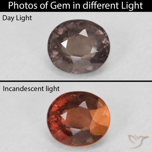 1.50ct 자연스러운 미디엄 라이트 브라운 색상 변경 가넷, 타원형, VS