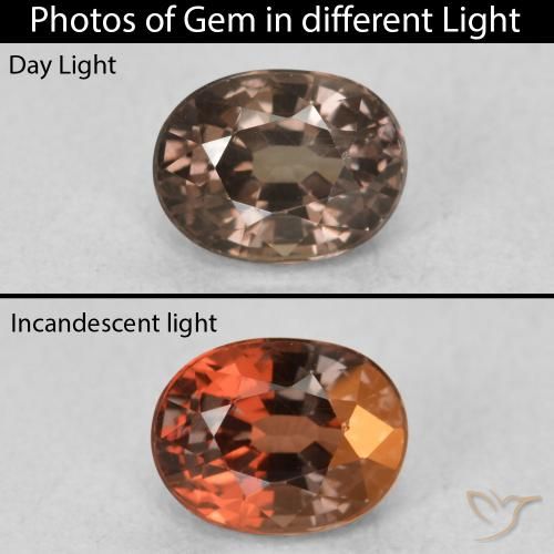 0.98ct 자연스러운 어두운 갈색 색상 변경 가넷, 타원형, VVS