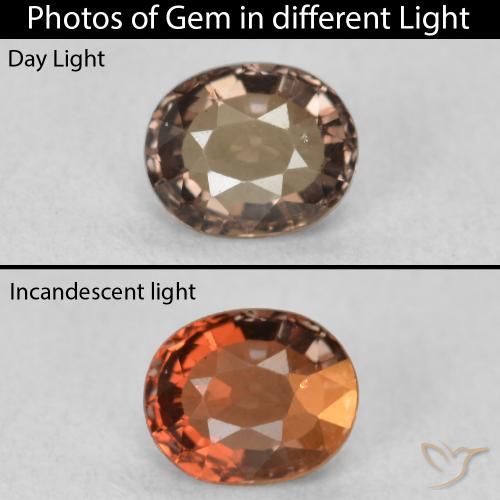 0.80ct 자연스러운 어두운 갈색 색상 변경 가넷, 타원형, VVS