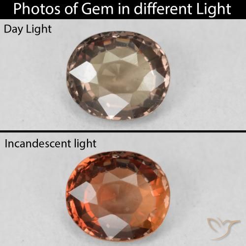 1.16ct 자연스러운 어두운 갈색 색상 변경 가넷, 타원형, VVS
