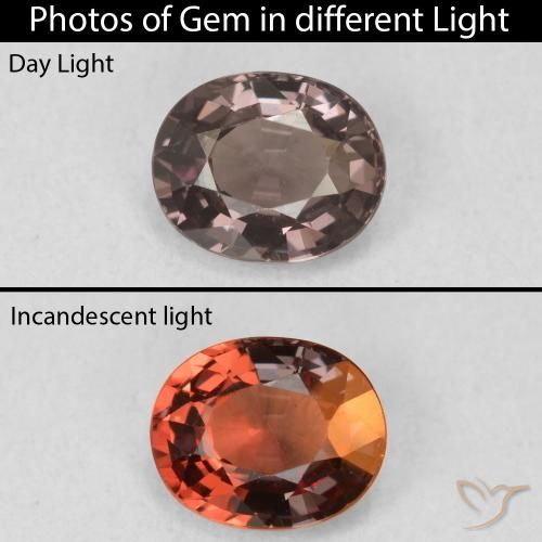 1.03ct 자연스러운 히코리 브라운 색상 변경 가넷, 타원형, VVS
