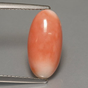 3.18캐럿 천연 바이컬러 산호, 타원형 컷, 15.2×7.7 mm, 불투명체