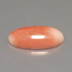 3.18캐럿 천연 바이컬러 산호, 타원형 컷, 15.2×7.7 mm, 불투명체