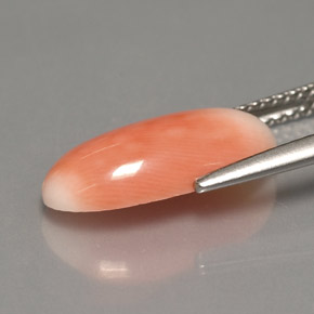 3.18캐럿 천연 바이컬러 산호, 타원형 컷, 15.2×7.7 mm, 불투명체
