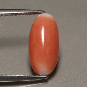 2.23캐럿 천연 바이컬러 산호, 타원형 컷, 13.7×6.6 mm, 불투명체