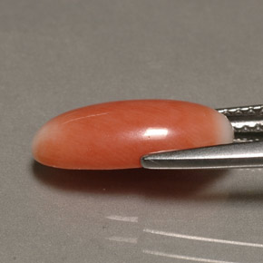 2.23캐럿 천연 바이컬러 산호, 타원형 컷, 13.7×6.6 mm, 불투명체