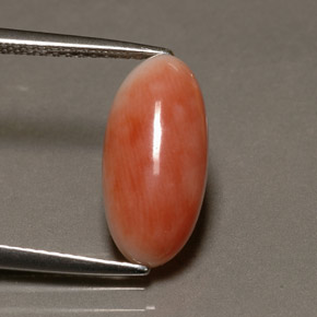 3.10캐럿 천연 화이트 살몬 산호, 타원형 컷, 14.3×7 mm, 불투명체