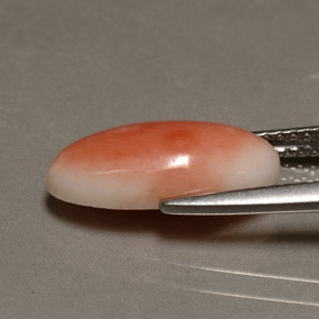 3.10캐럿 천연 화이트 살몬 산호, 타원형 컷, 14.3×7 mm, 불투명체