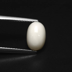 2.49캐럿 천연 화이트 산호, 타원형 컷, 9.9×6.5 mm, 불투명체