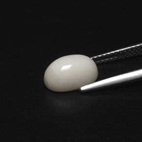 2.49캐럿 천연 화이트 산호, 타원형 컷, 9.9×6.5 mm, 불투명체