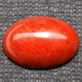 7.43캐럿 천연 오렌지 산호, 타원형 컷, 17.8×12.9 mm, 불투명체