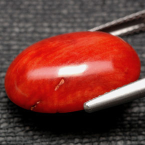 9.84캐럿 천연 주황색 산호, 타원형 컷, 불투명체