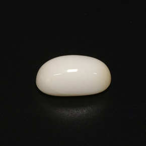 2.81캐럿 천연 화이트 산호, 타원형 컷, 11.1×6.3 mm, 불투명체