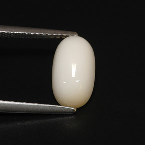 2.81캐럿 천연 화이트 산호, 타원형 컷, 11.1×6.3 mm, 불투명체