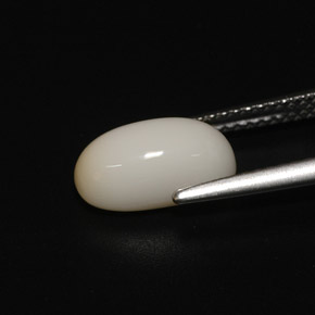 2.81캐럿 천연 화이트 산호, 타원형 컷, 11.1×6.3 mm, 불투명체