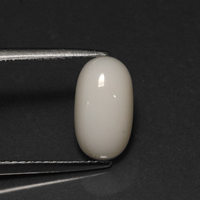 2.78캐럿 천연 화이트 산호, 타원형 컷, 11.3×6.4 mm, 불투명체