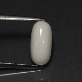 2.73캐럿 천연 화이트 산호, 타원형 컷, 11.9×5.7 mm, 불투명체