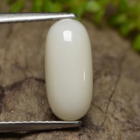 2.50캐럿 천연 여러 가지 빛깔의 흰색 산호, 타원형 컷, 12.1×5.6 mm, 불투명체