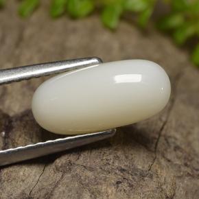 2.50캐럿 천연 여러 가지 빛깔의 흰색 산호, 타원형 컷, 12.1×5.6 mm, 불투명체
