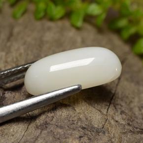 2.50캐럿 천연 여러 가지 빛깔의 흰색 산호, 타원형 컷, 12.1×5.6 mm, 불투명체
